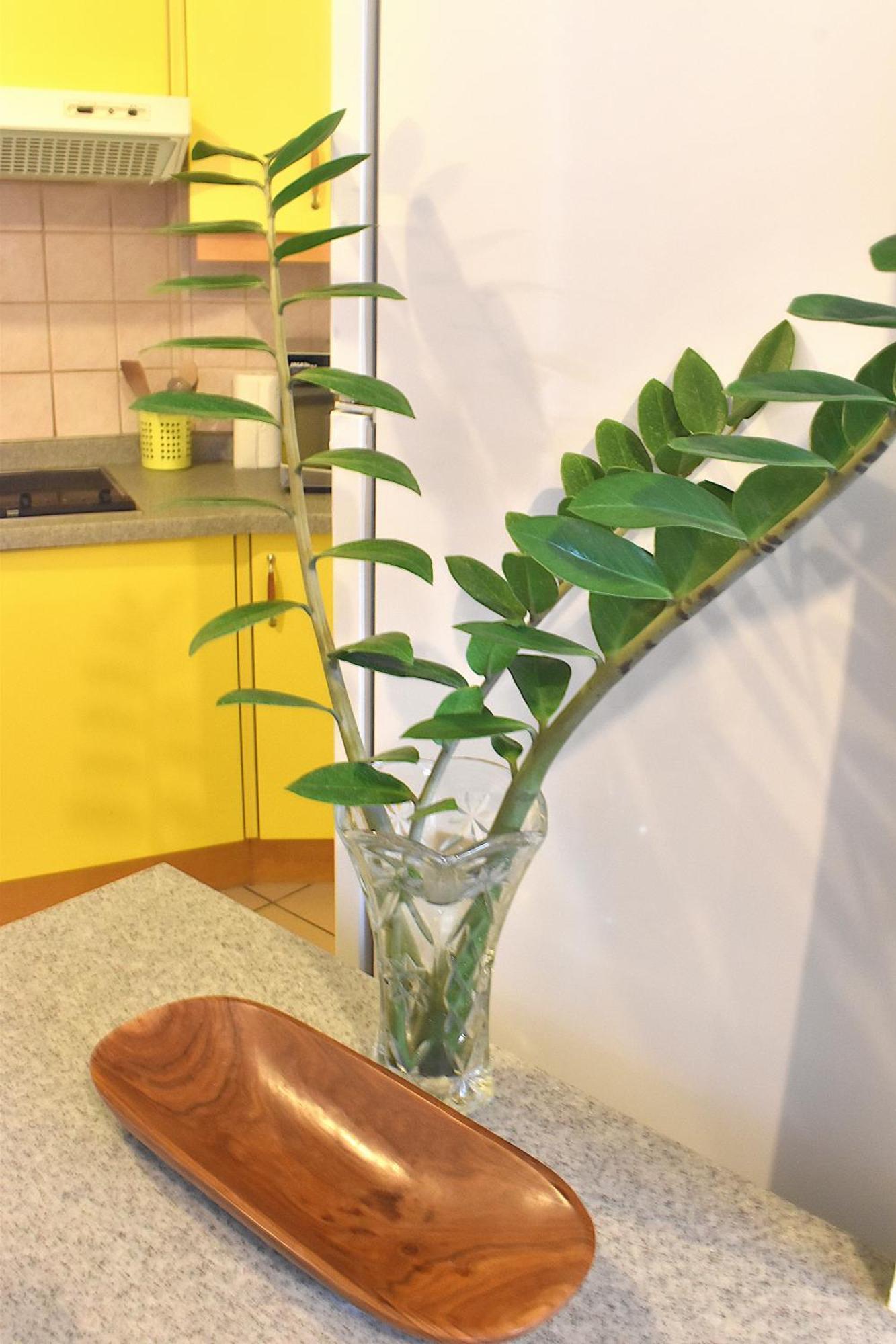 Apartmán Anani Paofai Papeete  Exteriér fotografie